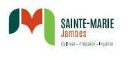 Logo Institut Sainte-Marie Jambes
